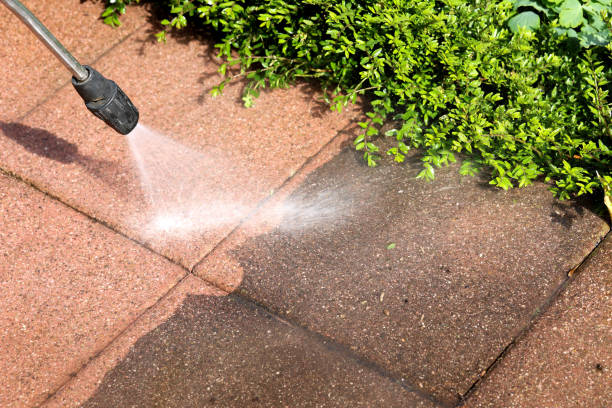 Best Pressure Washing Services for Businesses  in Waipio, HI